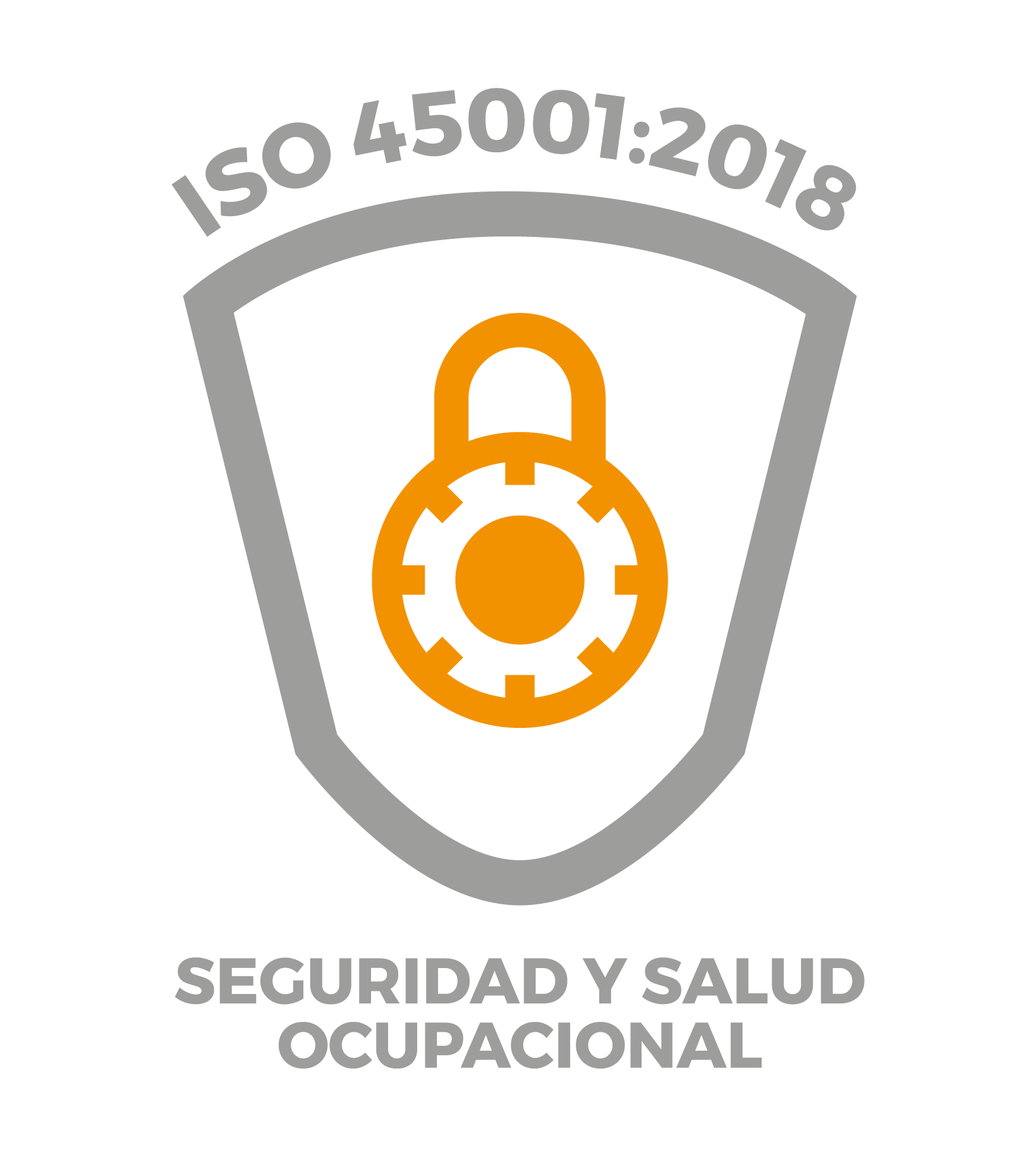  Sistema de Seguridad y Salud Ocupacional 